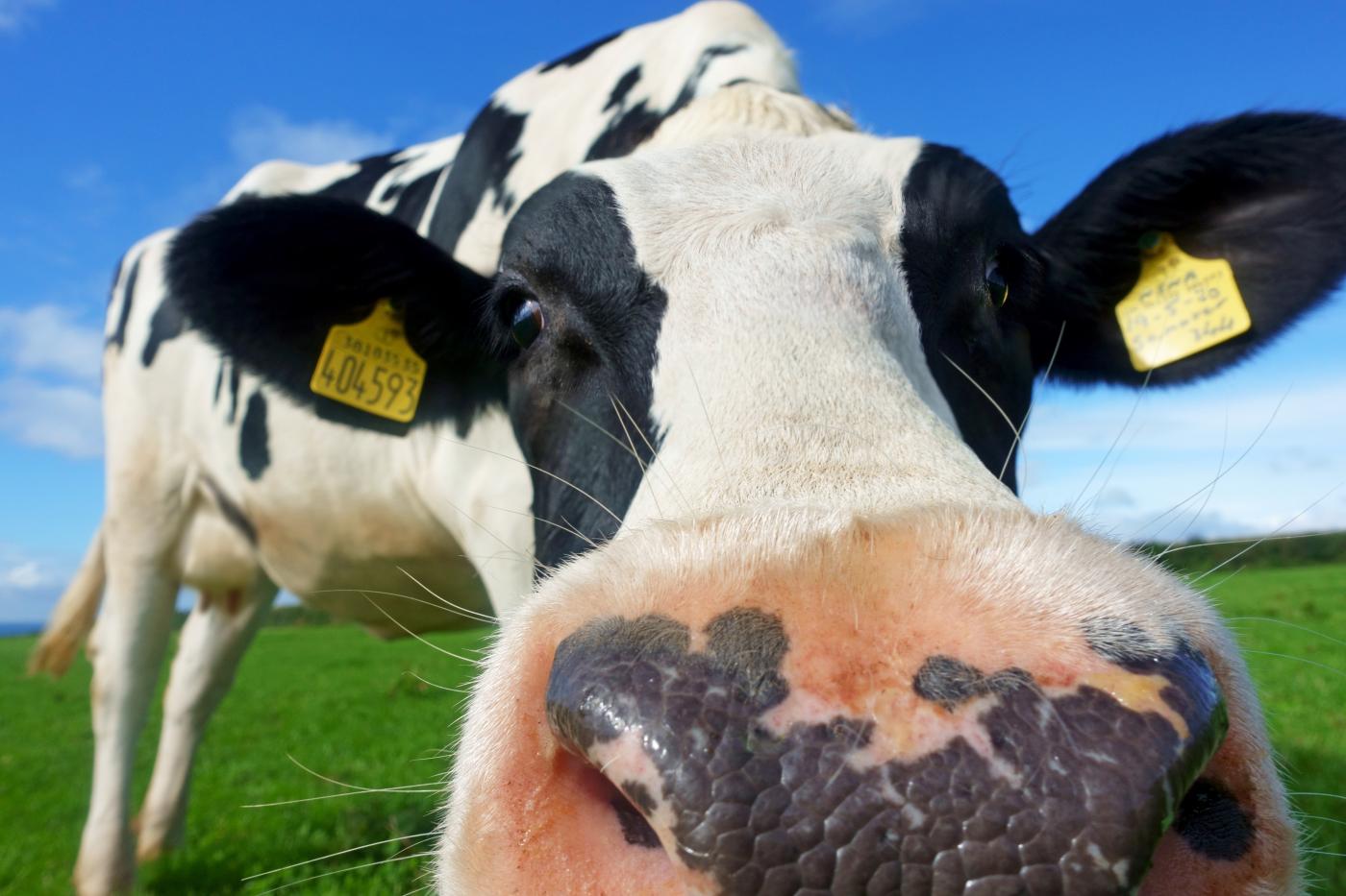 Lifestyle Photography in Devon & Cornwall